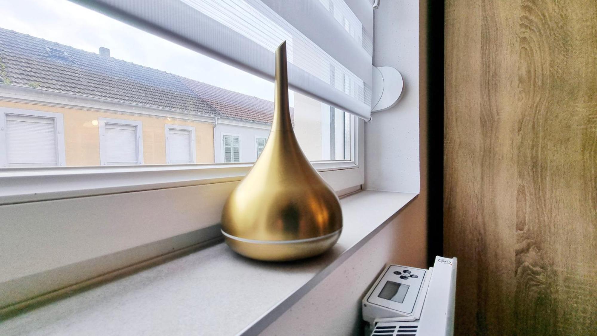 Les Suites Mulhousiennes - Charme & Serenite Mulhouse Exterior photo